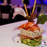 avalanche-starter460